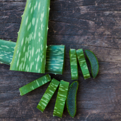 soothing, cooling aloe vera