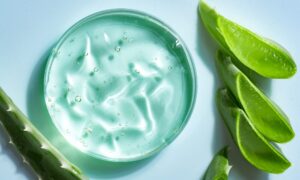 aloe vera for sunburn relief